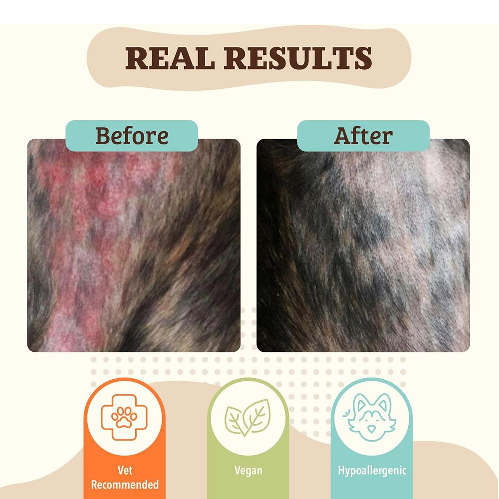 Healing Balm - Skin Soother for Dogs