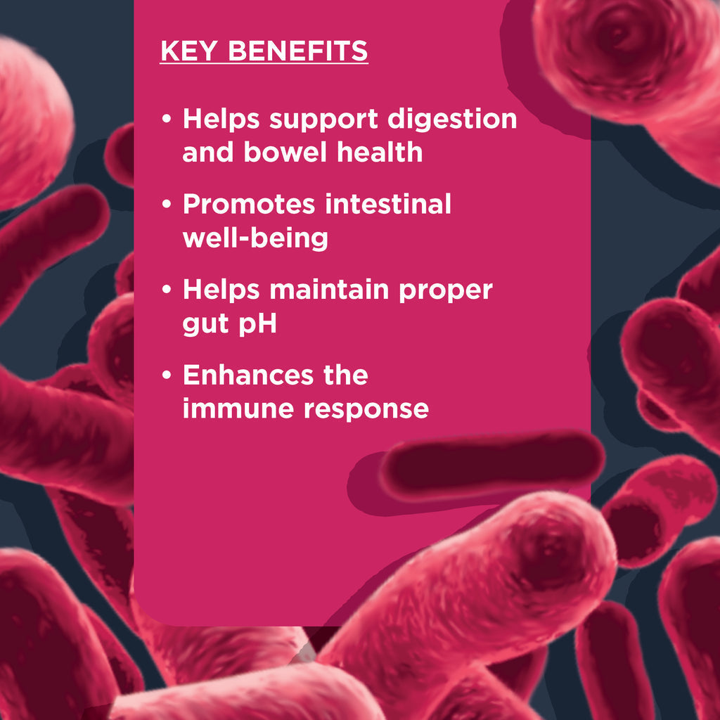 Nulo Functional Probiotic Soft Chew Supplements For Dogs