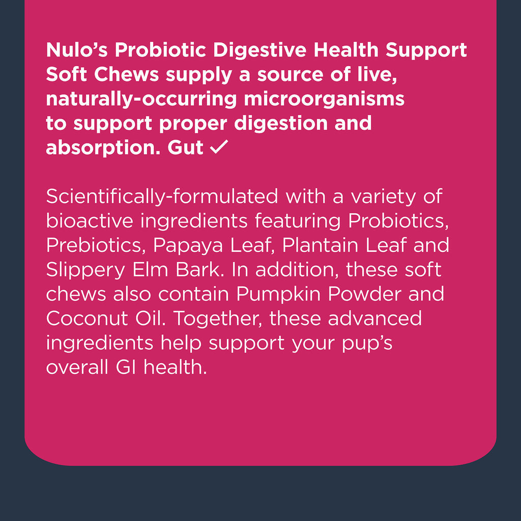 Nulo Functional Probiotic Soft Chew Supplements For Dogs