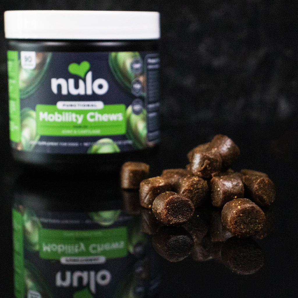 Nulo Functional Mobility Soft Chew Supplement For Dogs