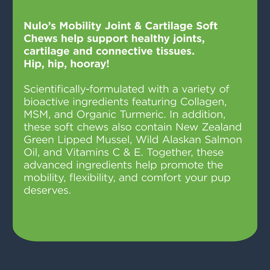 Nulo Functional Mobility Soft Chew Supplement For Dogs