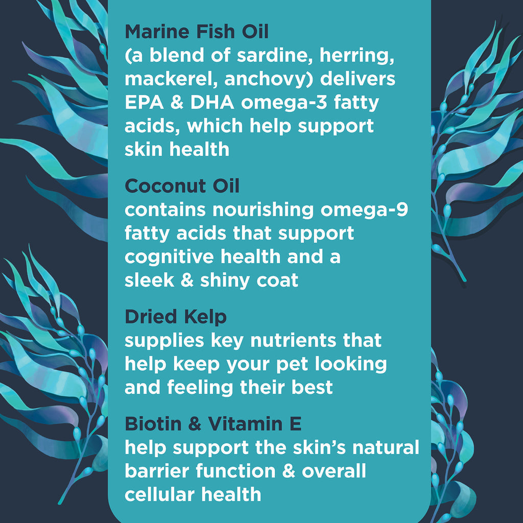 Nulo Superfood Omega Soft Chew Supplement For Dogs