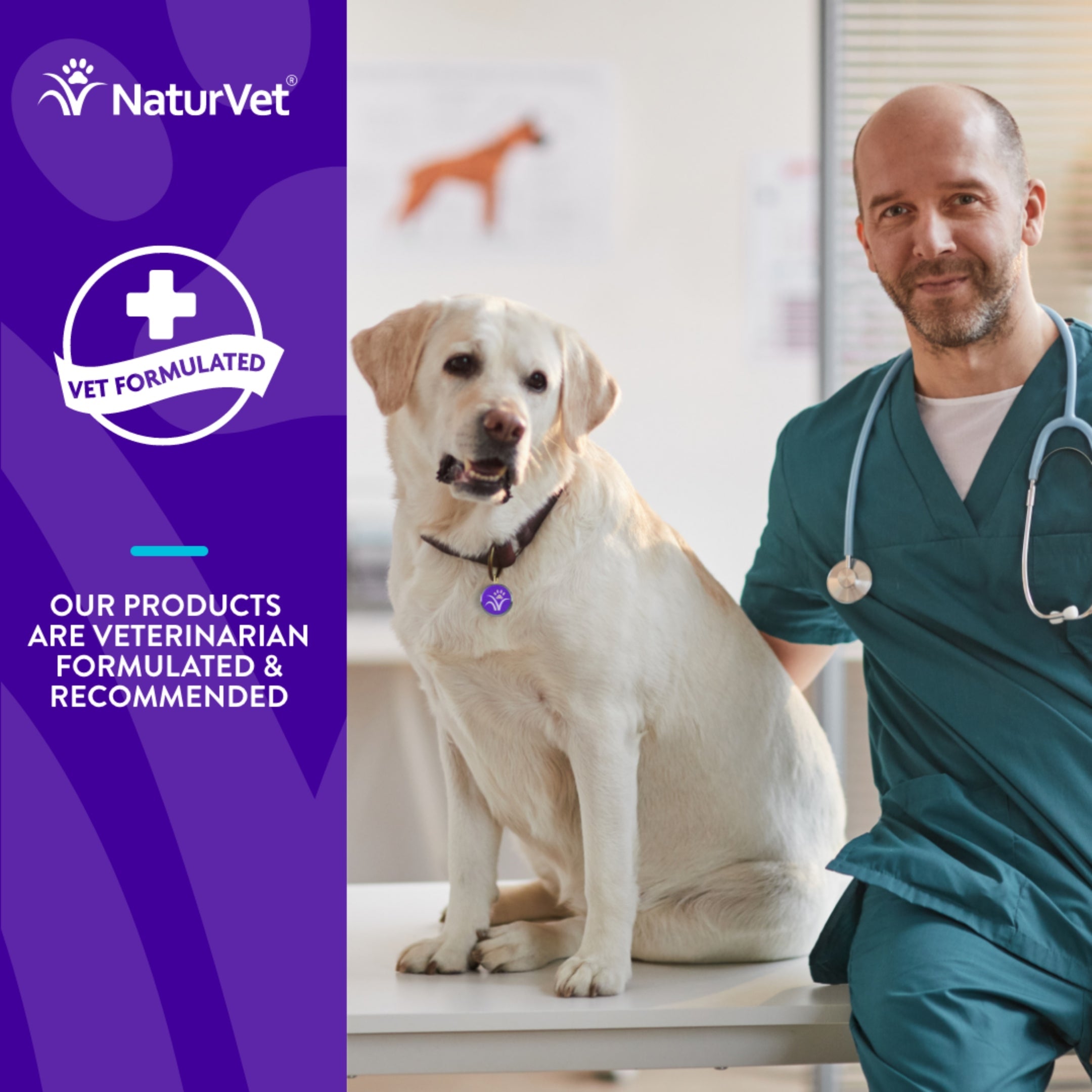 NaturVet Evolutions Advanced Calming Soft Chews for Dogs