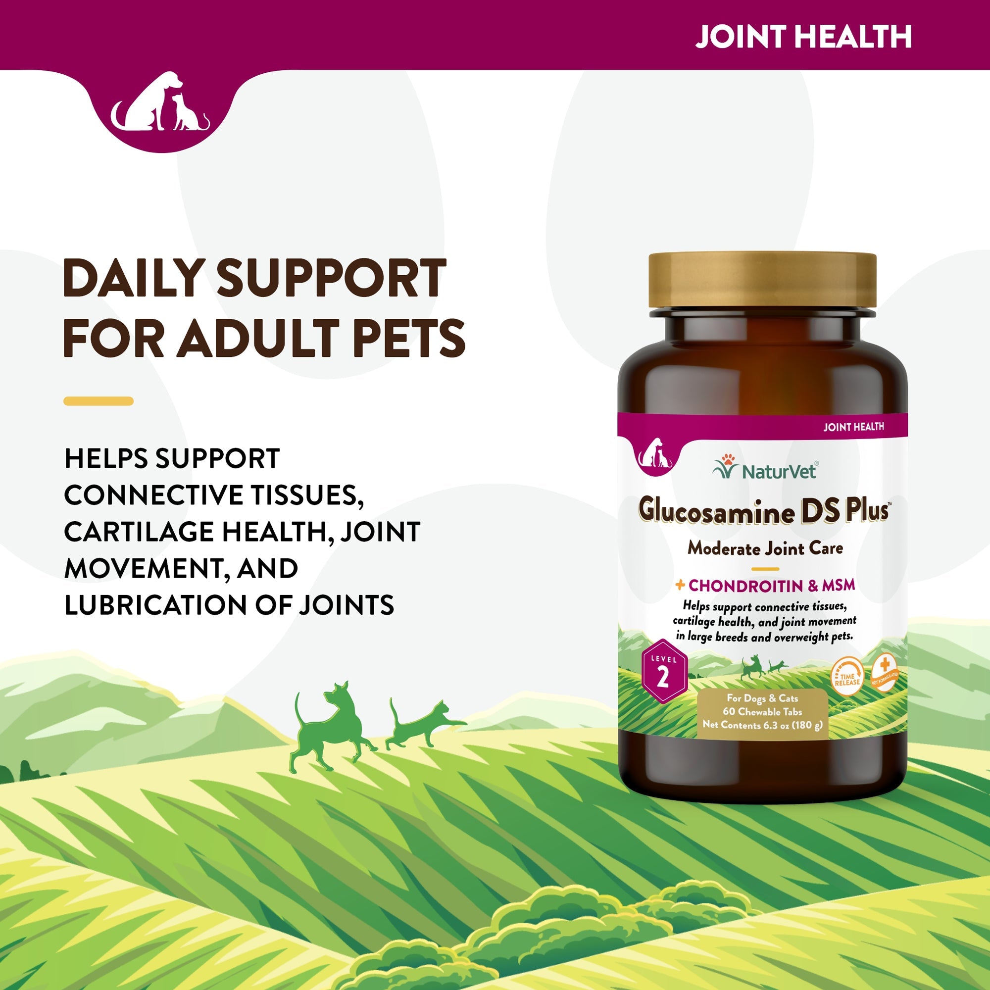 NaturVet Glucosamine DS Plus Level 2 Chewable Tablets
