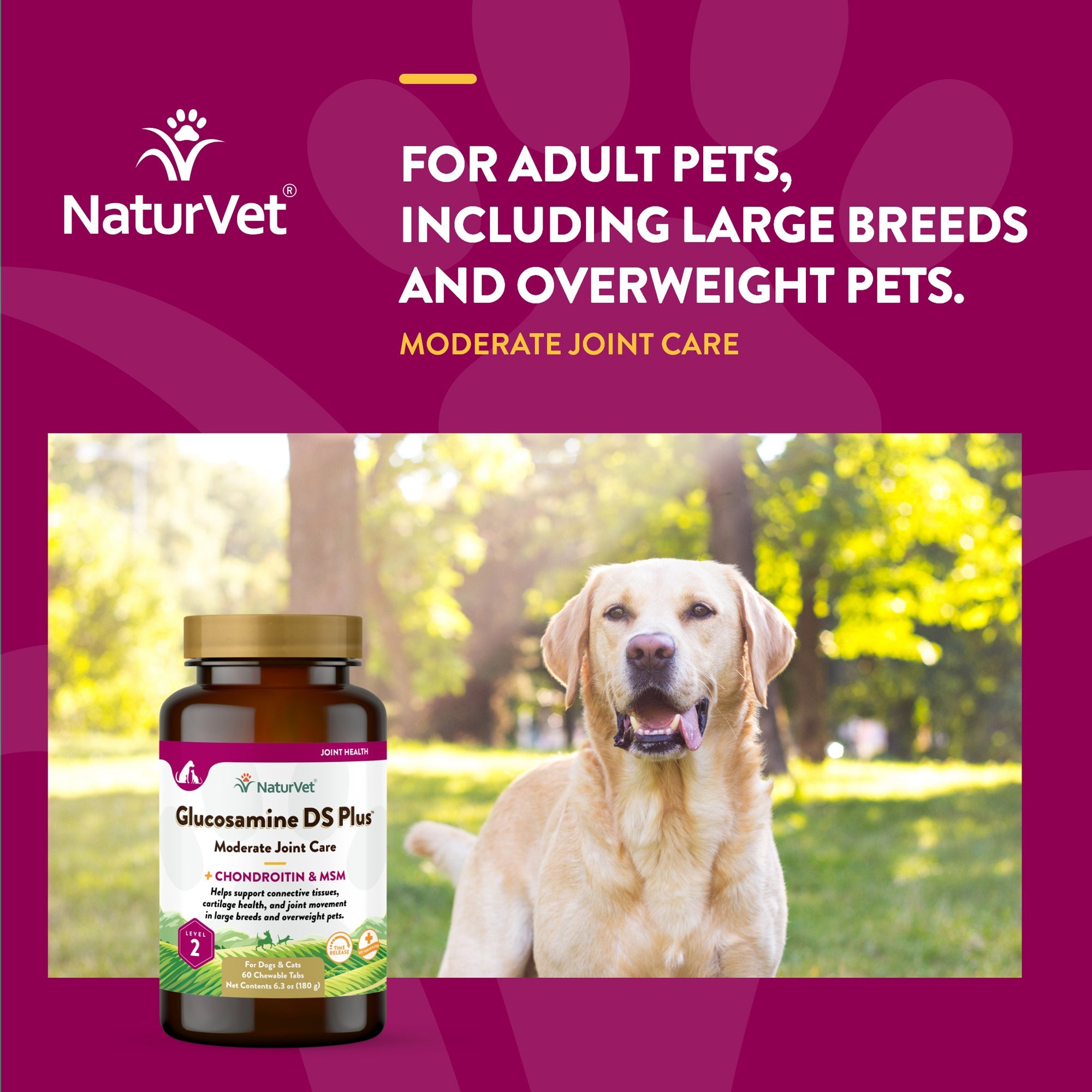 NaturVet Glucosamine DS Plus Level 2 Chewable Tablets