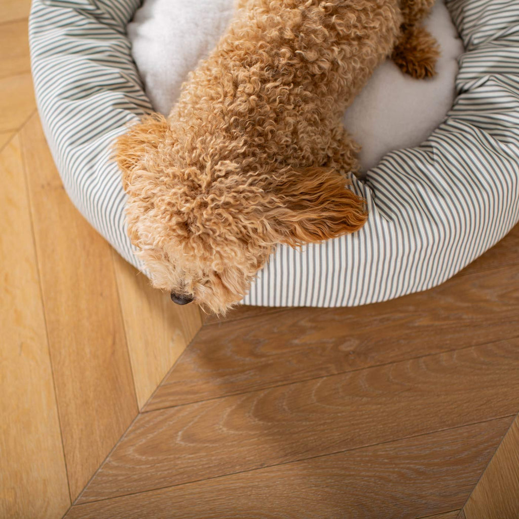 Donut Bed in Regency Stripe by Lords & Labradors