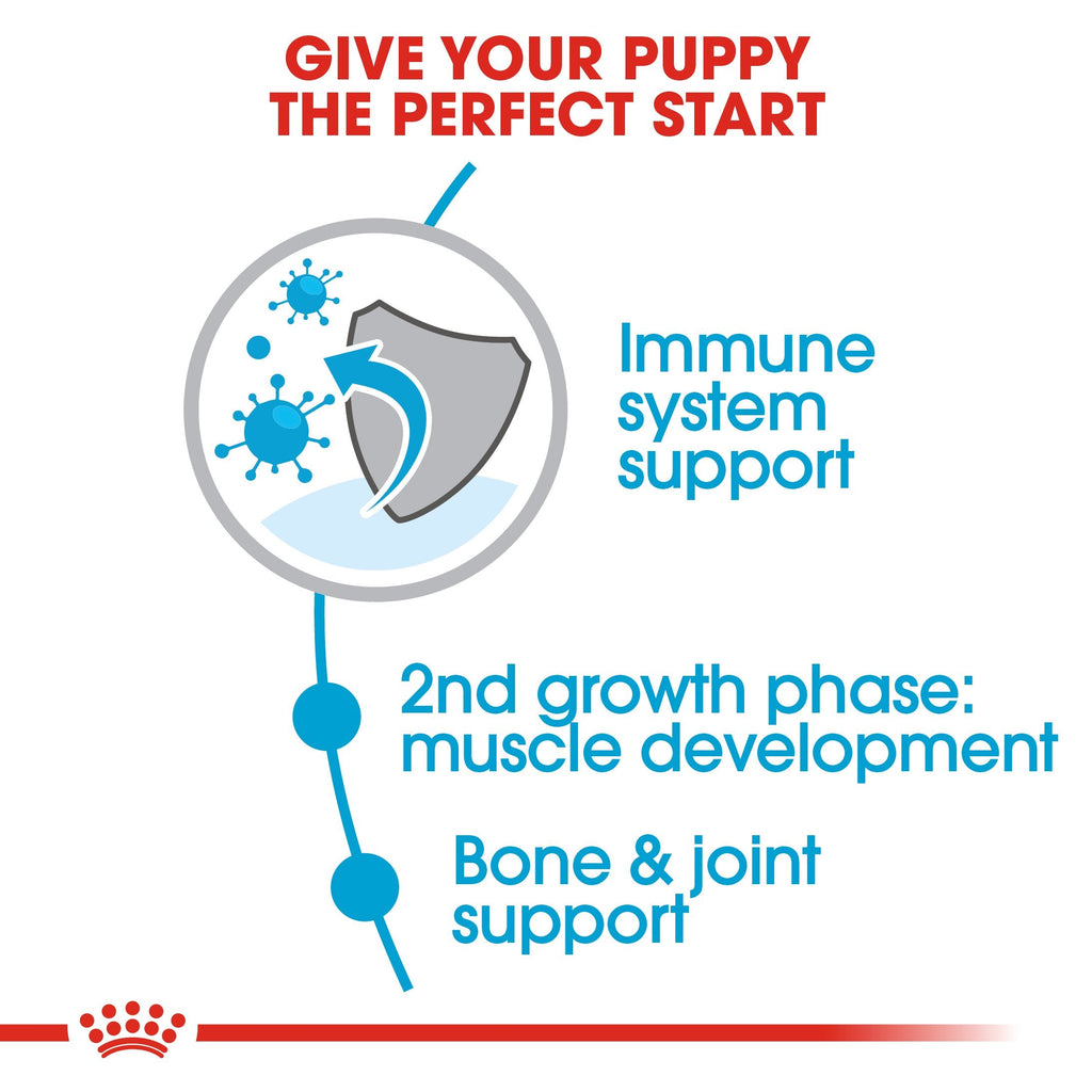 Royal Canin Giant Junior (15 KG) - Dry food for giant dogs - Adults weight from 45 KG and over - from 8 months to 18\24 months