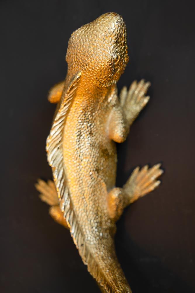 Gold Lizard Table/Wall Light