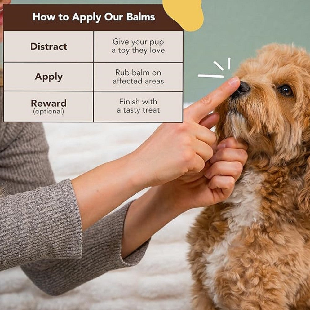 Healing Balm - Snout Soother for Dogs